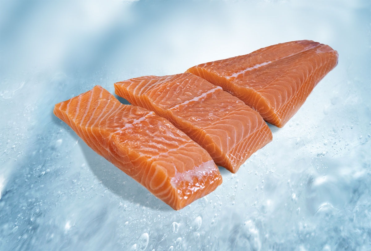 salmon